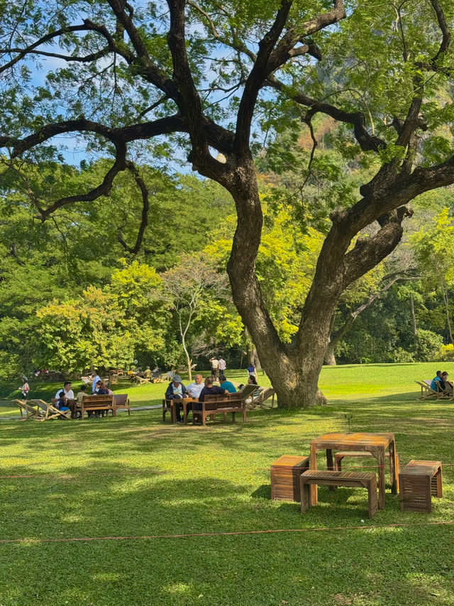คาเฟ่กาญจนบุรี Vibes ดีมาก 💚🌳