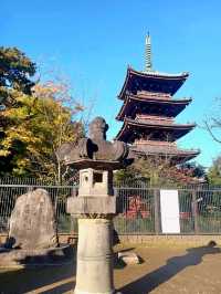 The time honored Ueno Toshogu shrine