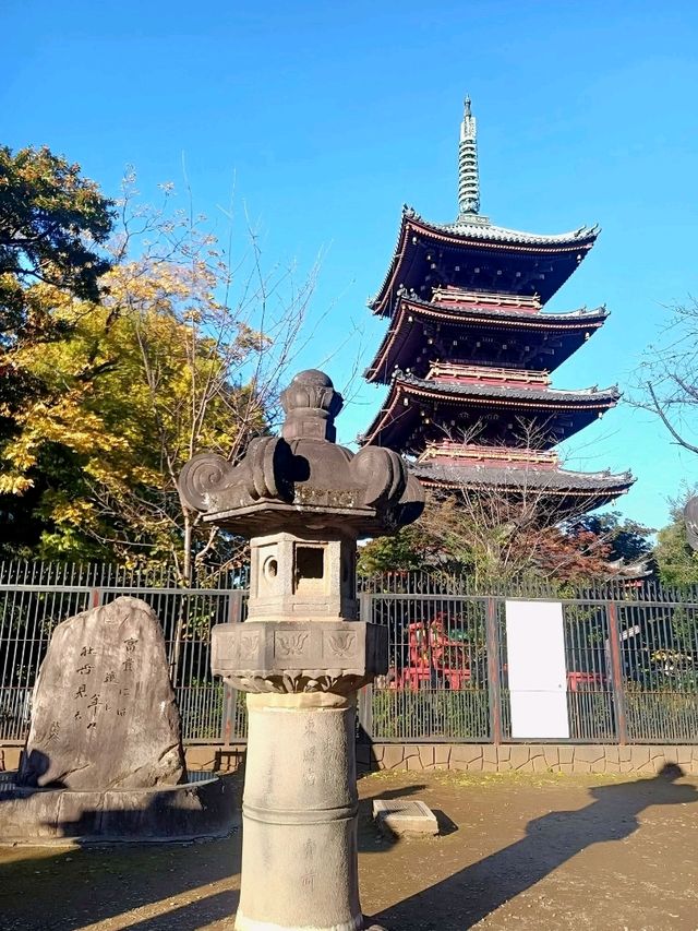 The time honored Ueno Toshogu shrine