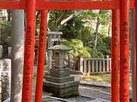 Tunnel of Vermilion Blessings, the Senbon Torii of Otome Inari Shrine