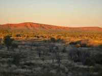 Kings Canyon Resort