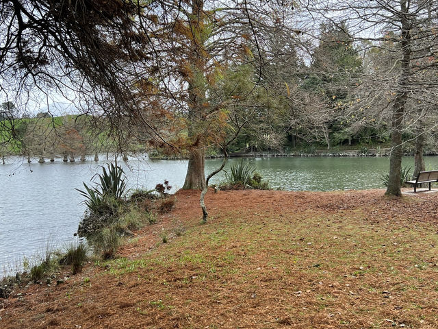 🌿 McLaren Falls Park｜陶朗加後花園的自然療癒地