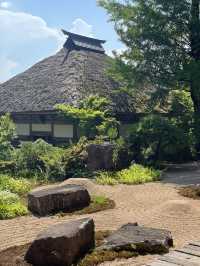 【群馬】映えスポット多数！群馬を代表する花寺