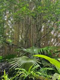 Wings of Wonder: Discover Entopia’s Living Paradise
