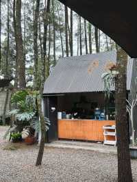 Teduh Coffee