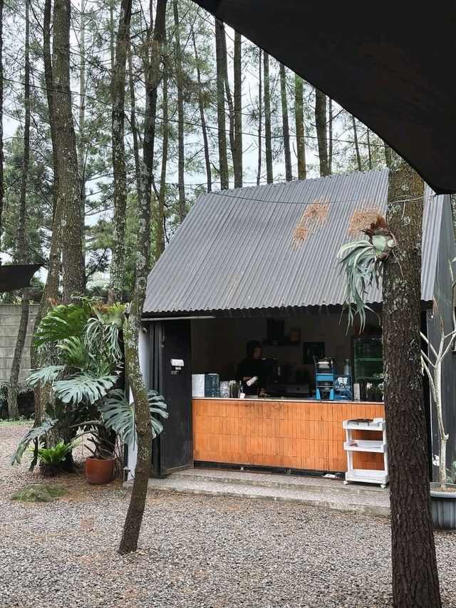 Teduh Coffee