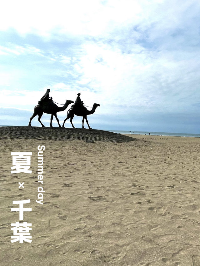 【千葉】 海岸にラクダ？ 絶景スポット