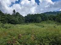 Blue Ridge Parkway