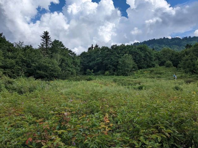 Blue Ridge Parkway