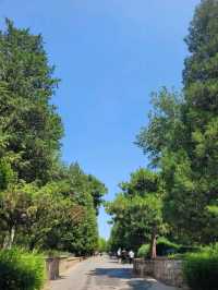 The majectic greeneries of the Temple of Heaven North Gate