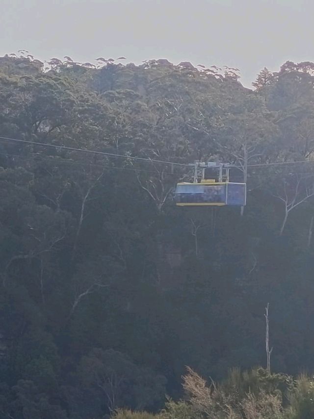 Blue Mountains