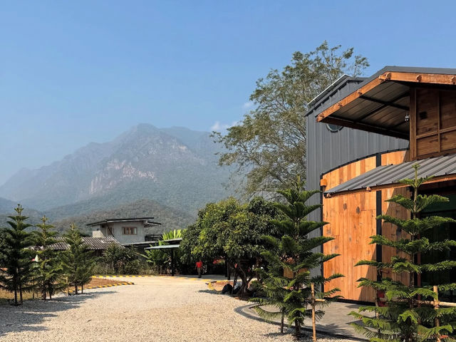 Glamp./cafe 🍂🥤🍃