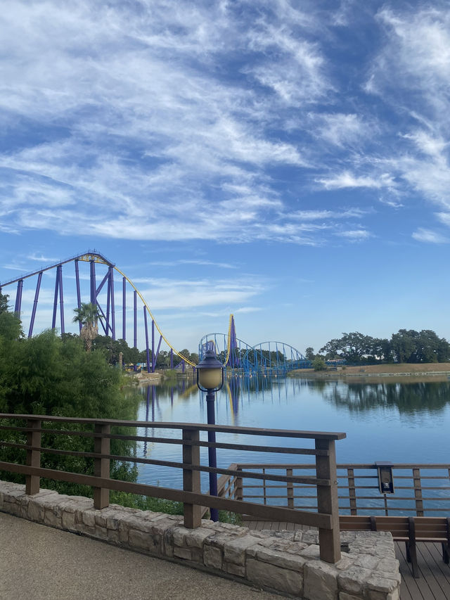 🌊🐬 SeaWorld San Antonio สนุก ครบ จบที่เดียว