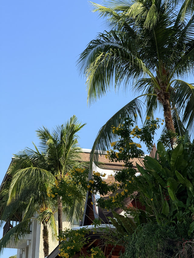 รีวิว Dusha Cafe Phuket: คาเฟ่ท่าเรือยอร์ชสุดชิค