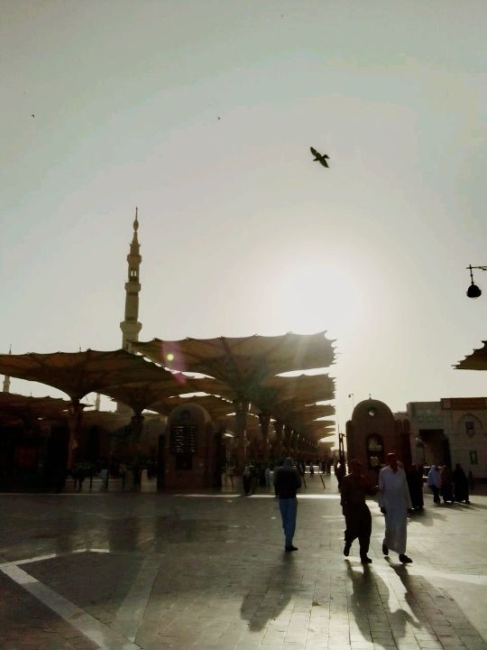 Medina: A City of Peaceful Radiance and Deep Connection 🇸🇦✨
