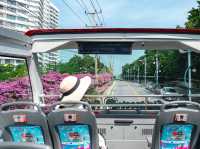 Elephant Hop-On Hop-Off Bus Tours