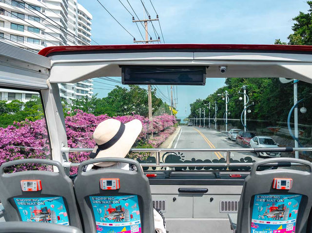 Elephant Hop-On Hop-Off Bus Tours