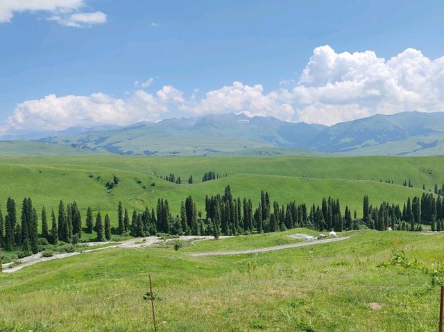 Mengteke Ancient Road: Discovering Nature's Splendor