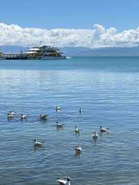 The Sacred Blue: Qinghai Lake and the Soul of the Plateau