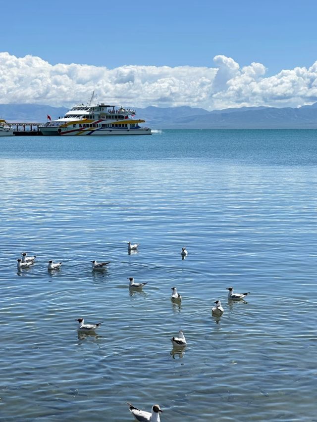 The Sacred Blue: Qinghai Lake and the Soul of the Plateau