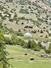 Mountains, Culture & Hidden Magic