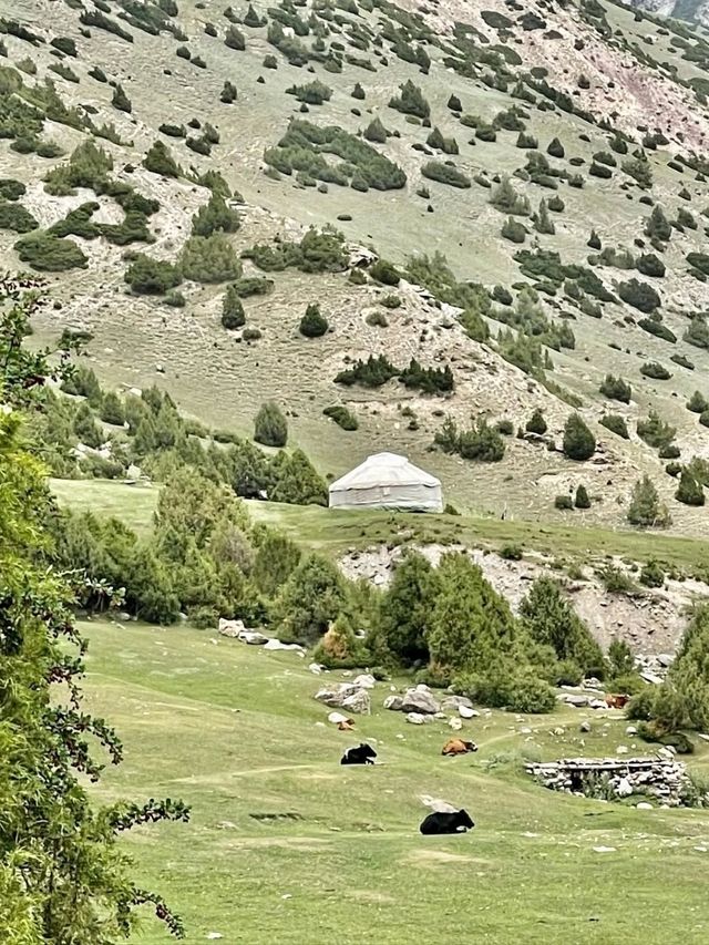 Mountains, Culture & Hidden Magic