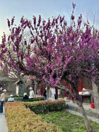 Where Faith Endures – A Quiet Encounter at Kaifeng Dongda Mosque
