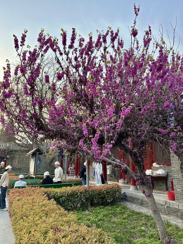 Where Faith Endures – A Quiet Encounter at Kaifeng Dongda Mosque
