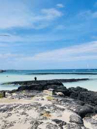 Unique Windmills and Volcanic Rock Formations