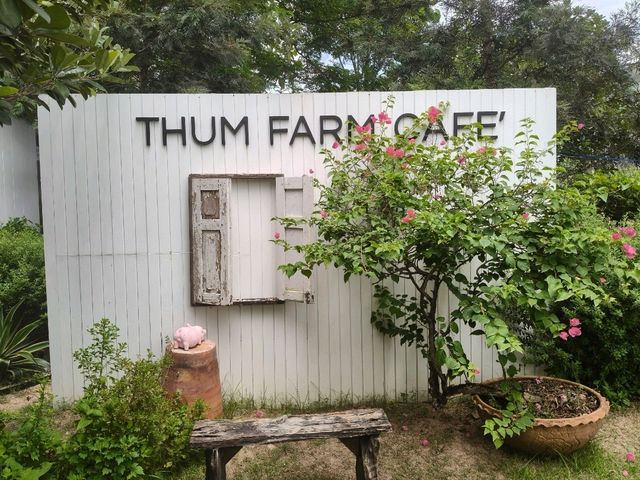 คาเฟ่เปิดใหม่ศรีราชา THUM FARM CAFE