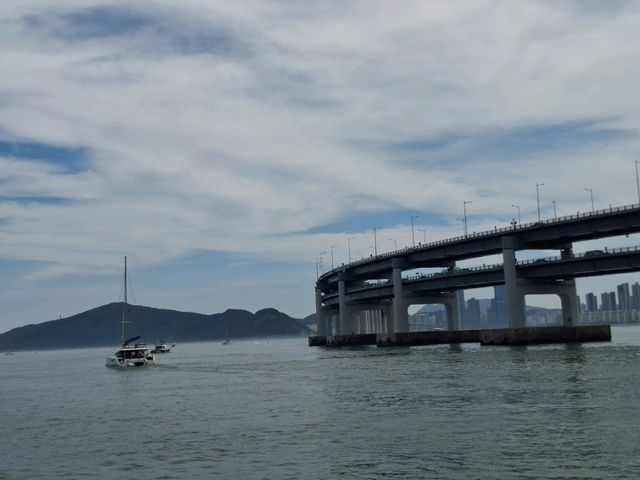 從水營灣遊艇競場出發，開啟釜山海上之旅！