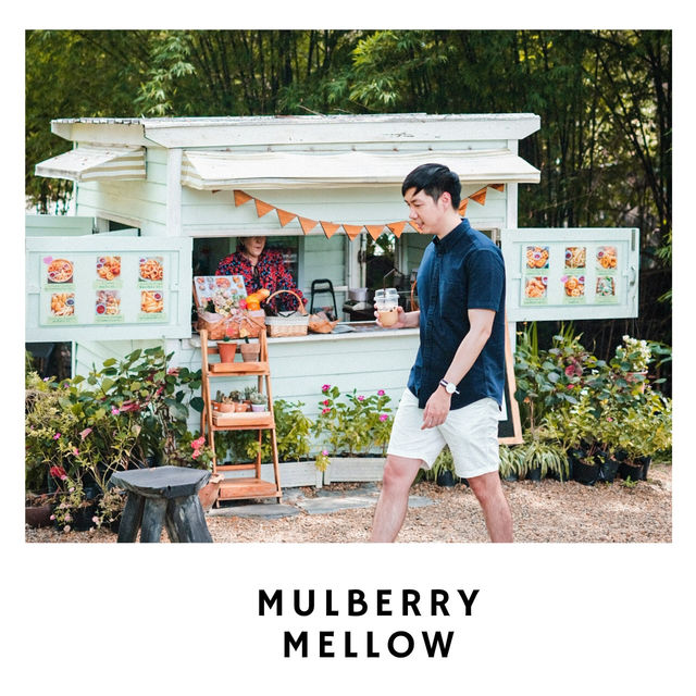 🌿 Mulberry Mellow – คาเฟ่กลางสวนมัลเบอร์รี่ในฝัน