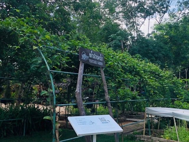 'Old Phuket Farm'의 태국 전통 방식