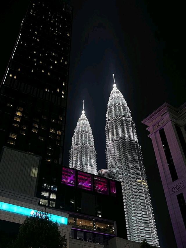 Petronas Twin