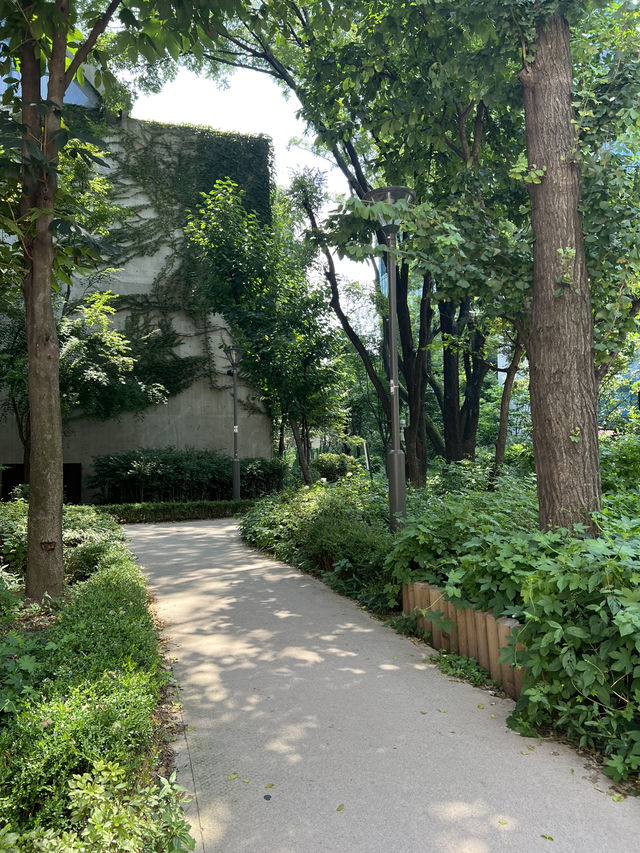 서울숲을 산책하고 성수동 카페거리도 걸어볼까요