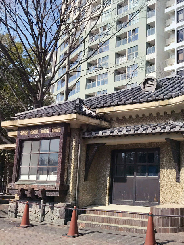 🌿都会のオアシスで、南国植物に癒される新宿御苑 温室 