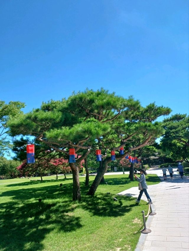 전통 정원 속 여유로운 아침 산책