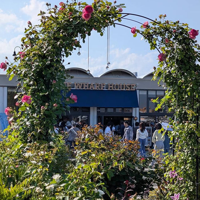 【神奈川/横浜🇯🇵】デートスポットにピッタリ💓山下公園