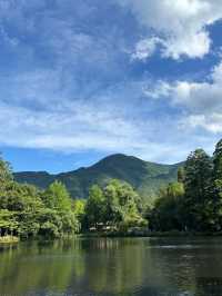 朝霧に包まれる幻想の湖、金鱗湖で心洗われるひととき🌫️