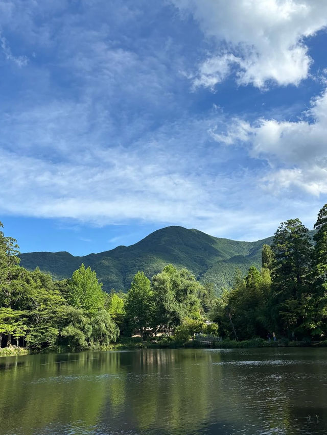 朝霧に包まれる幻想の湖、金鱗湖で心洗われるひととき🌫️ 朝霧に包まれる幻想の湖、金鱗湖で心洗われるひととき🌫️