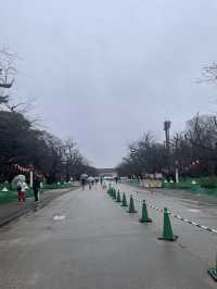 🇯🇵 Ueno Park