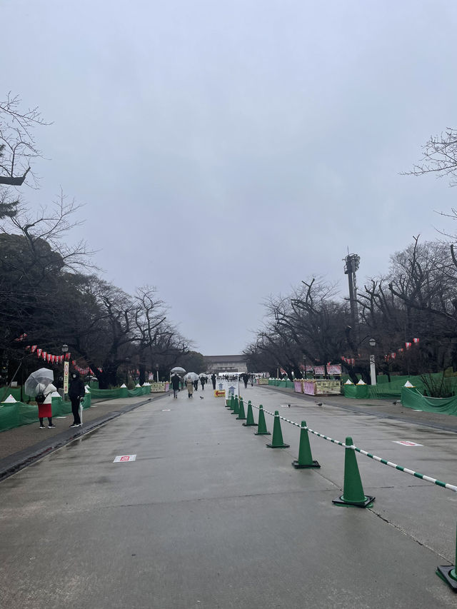 🇯🇵 Ueno Park