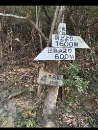 【香川旅】讃岐富士・飯野山でのんびり登山と絶景を楽しむ癒しのひととき