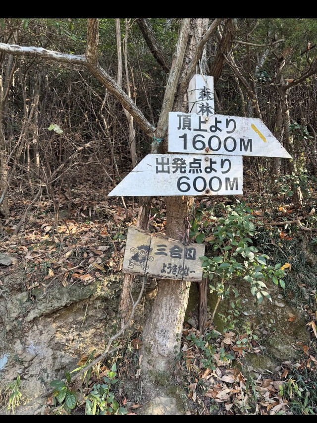 【香川旅】讃岐富士・飯野山でのんびり登山と絶景を楽しむ癒しのひととき 【香川旅】讃岐富士・飯野山でのんびり登山と絶景を楽しむ癒しのひととき