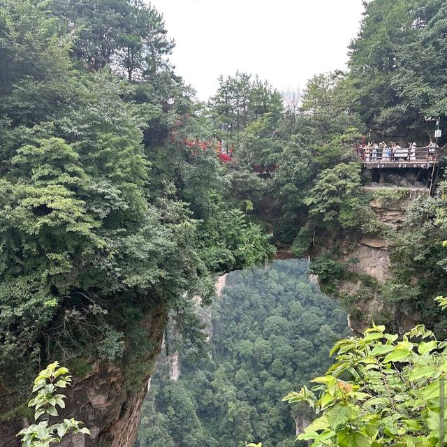 Floating Peaks of Zhangjiajie: Nature’s Avatar