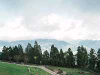 Cloudy Meadows and Friendly Sheep at Qingjing Farm