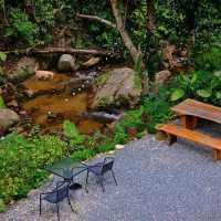 ที่พักแบบใกล้ชิดธรรมชาติ ติดลำธาร แม่ลาย เชียงใหม่