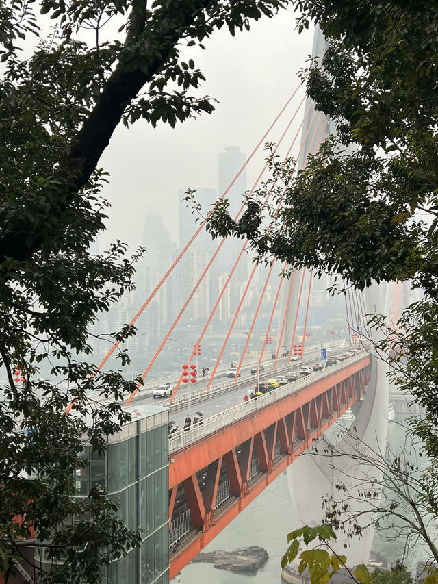 🏙️ 重庆·一座来了就不想走的城 🔥🌉 