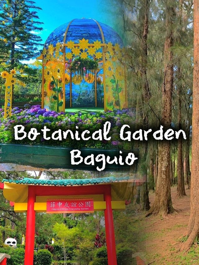 Baguio Botanical Garden: A Peaceful Nature Escape