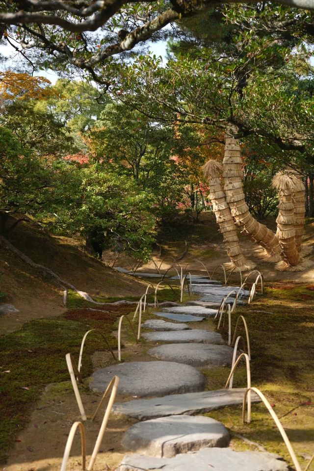 清幽之美—幾久公園